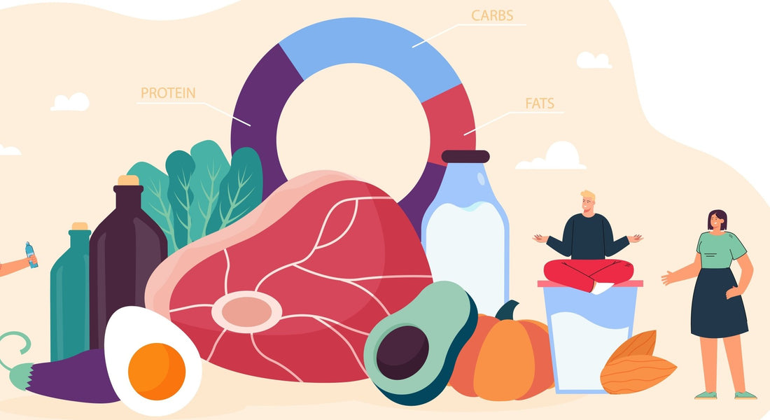 CARBOIDRATI: quali fonti alimentari abbiamo a disposizione? - IoBoscoVivo Srl