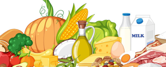 CARBOIDRATI: quali fonti alimentari abbiamo a disposizione? - IoBoscoVivo Srl