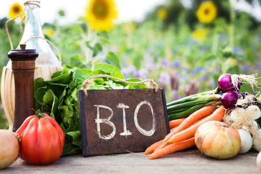 Cibi integrali e biologici: una scelta per la salute e l'ambiente - IoBoscoVivo Srl