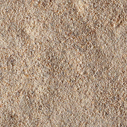 100% Fungo Lion's Mane in polvere BIO - 100g