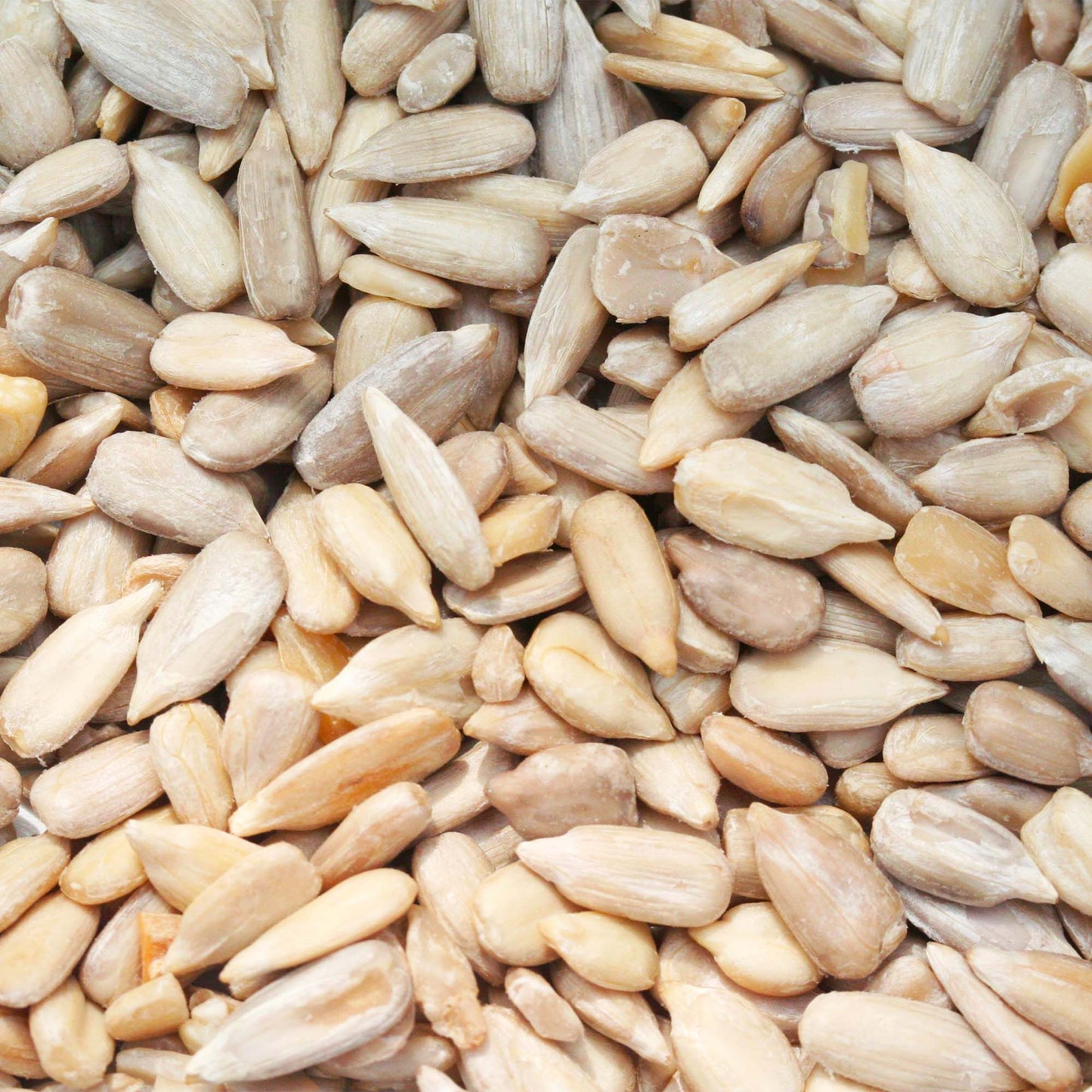 100% Semi di Girasole BIO - 150g | Ideali per Gallette norvegesi