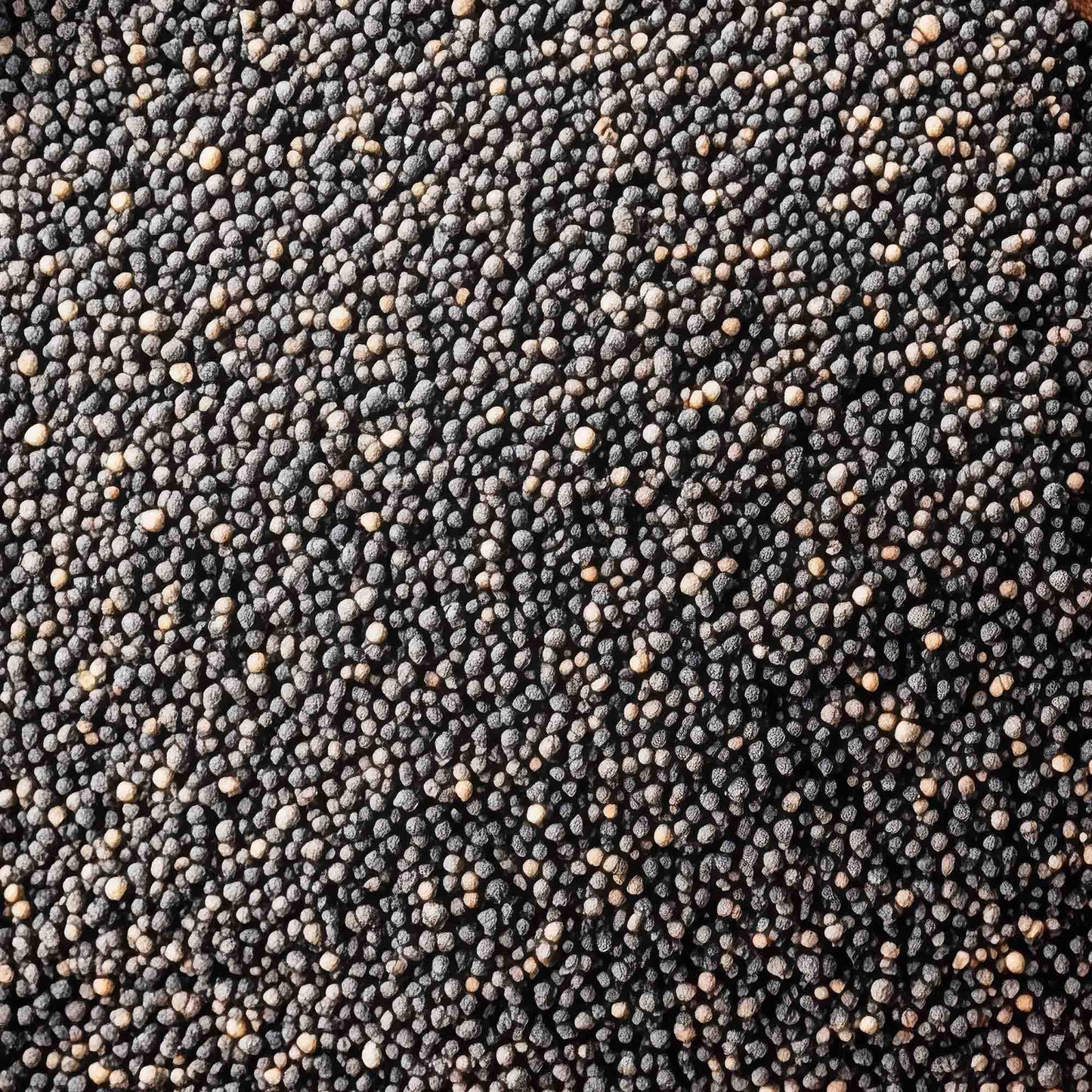 100% Semi di Chia BIO - 150g | Ideale per CHIA Pudding