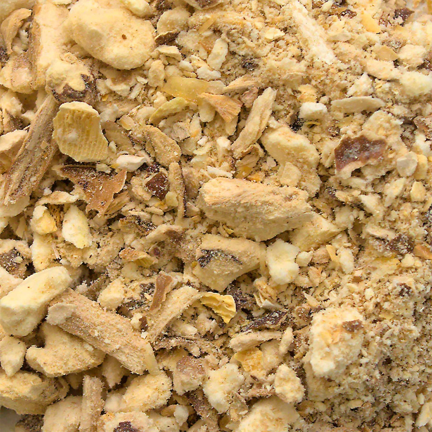 Box Funghi Shiitake BIO