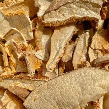 Box Funghi Shiitake BIO