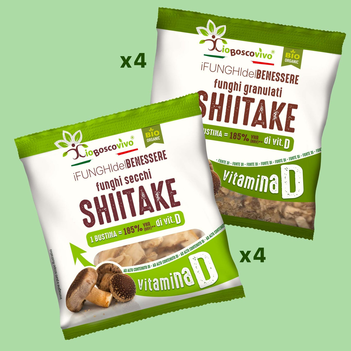 Box Funghi Shiitake BIO